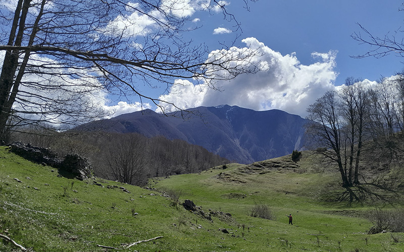 Valle Sepa con vista sul Cozzo del Pellegrino