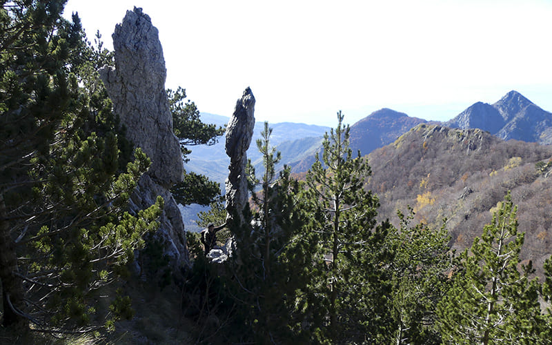 Sentiero per il Dito del Diavolo sul Montea
