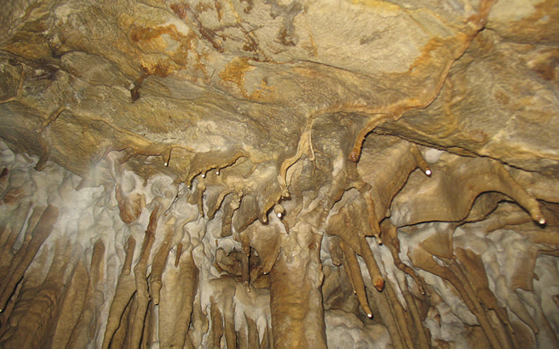Grotta di Panno Bianco Pollino Calabria